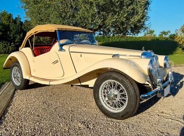 MG TF spider del 1954 - COMPLETAMENTE Restaurata
