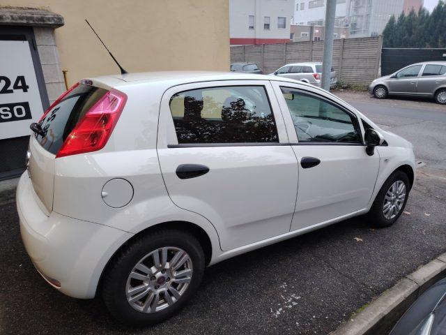 FIAT Punto 1.2 8V 5 porte Street NEOPATENTATI