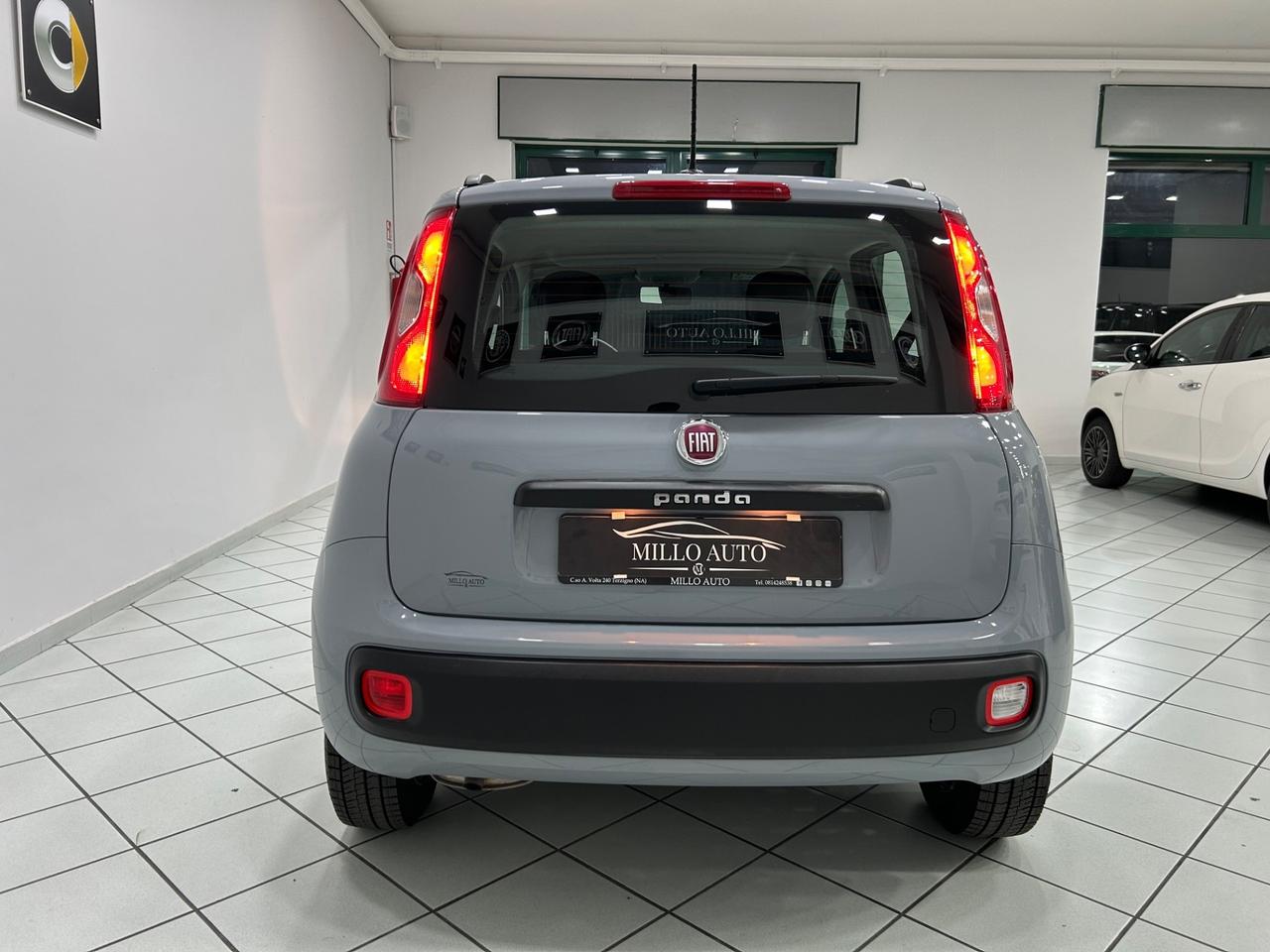 Fiat Panda 1.2cc 69cv Easy UNICO PROPRIETARIO