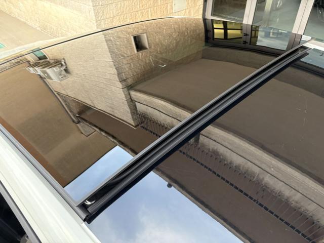 VOLKSWAGEN Taigo 1.0 TSI 116 CV DSG R-Line TETTO APR/PAN