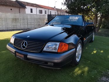 Mercedes-benz SL 300 SL-24 cat