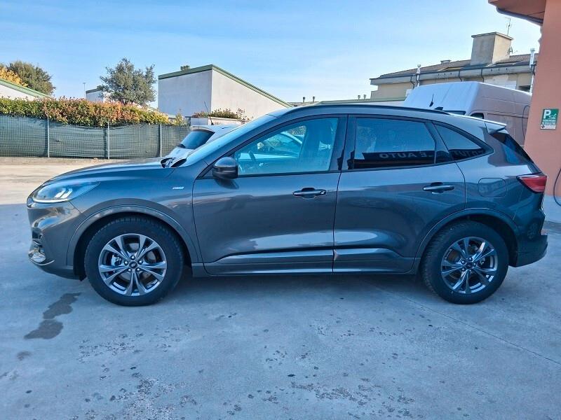Ford Kuga 2.5 Full Hybrid 190 CV CVT 2WD ST-Line (041)