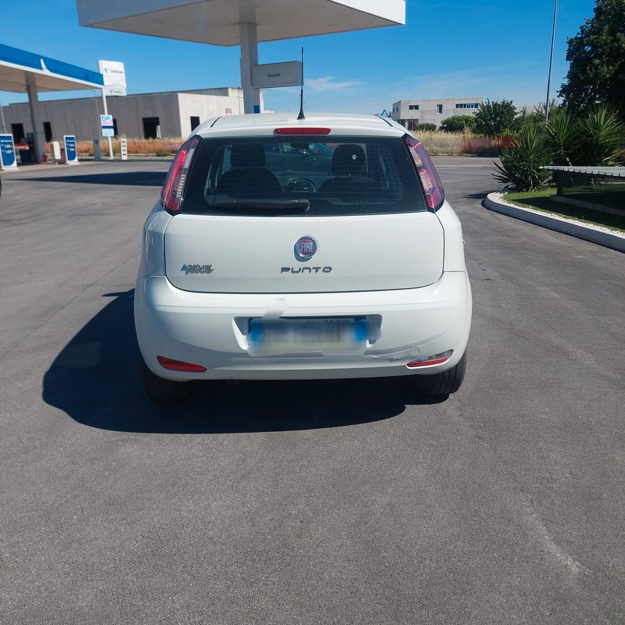 Fiat Punto 1.4 8V 5 porte Natural Power Street