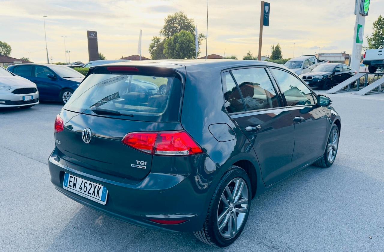 Volkswagen Golf Business 1.4 TGI 5p. Highline BlueMotion