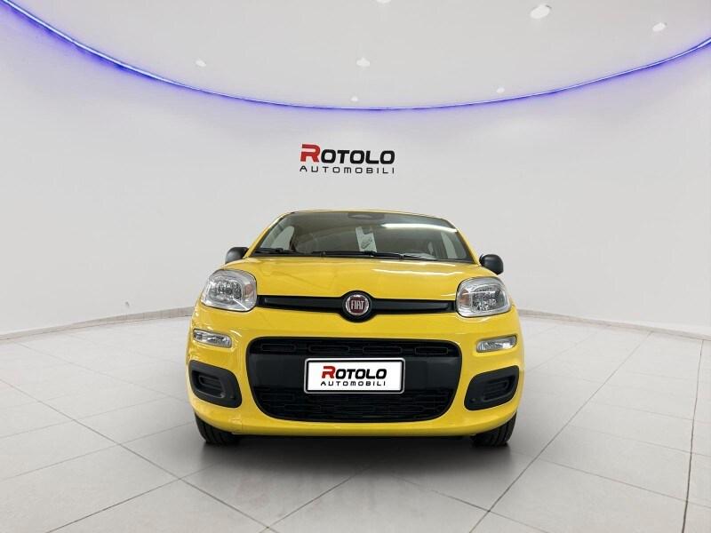 FIAT Panda 3ª serie Panda 1.0 FireFly S&S Hybr...