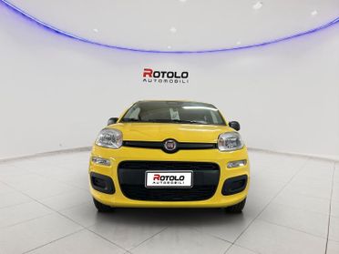 FIAT Panda 3ª serie Panda 1.0 FireFly S&S Hybr...