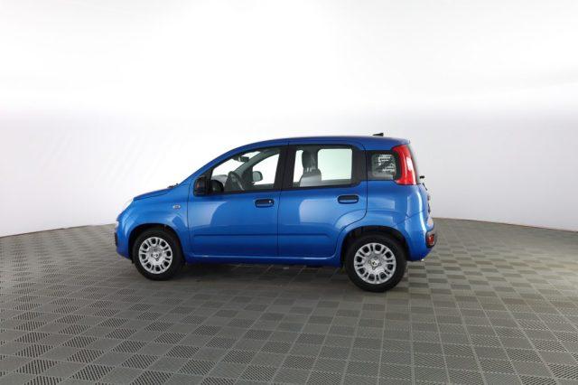 FIAT Panda Panda 1.0 FireFly S&S Hybrid Icon