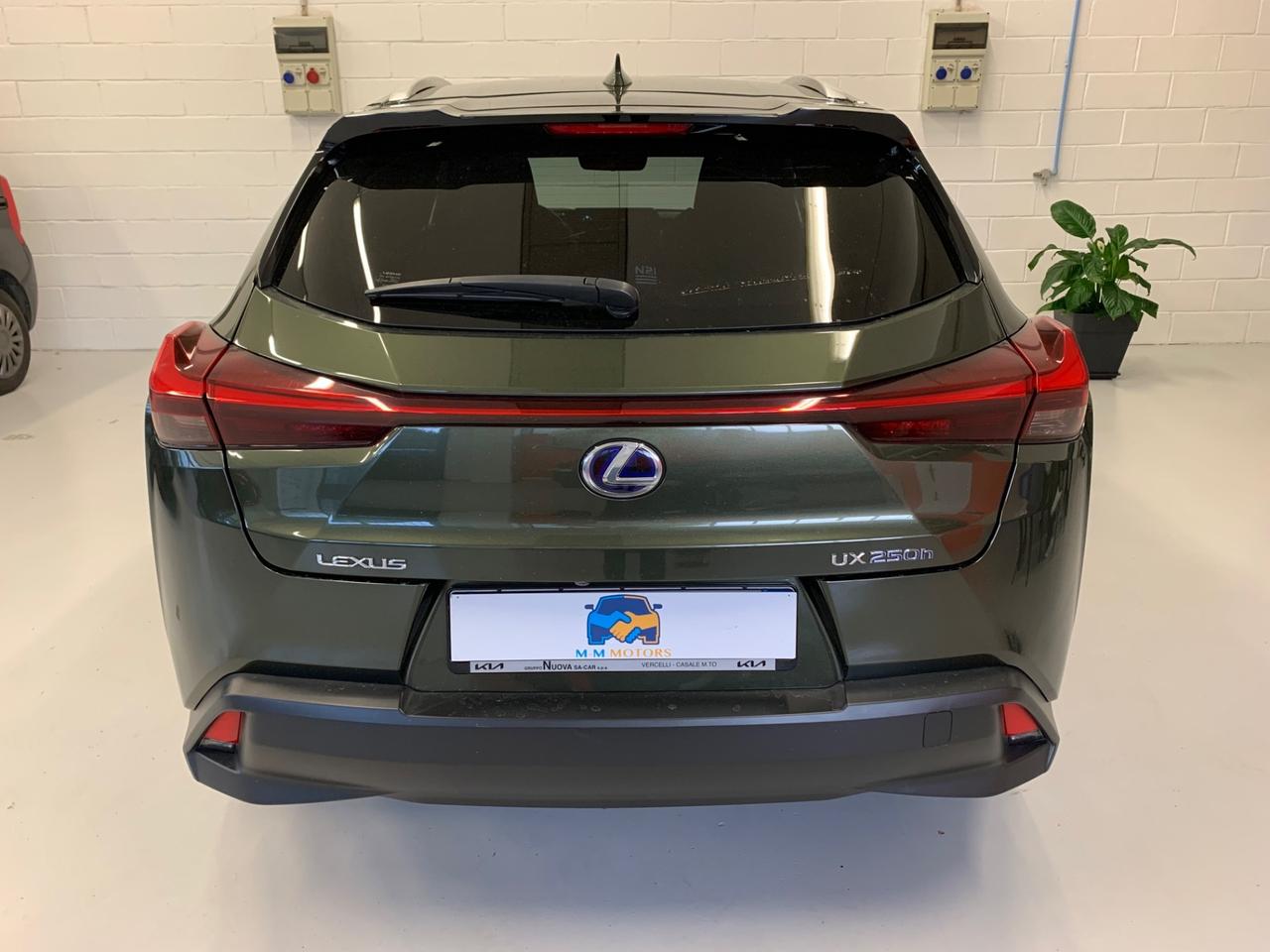 Lexus UX Hybrid 4WD Luxury 2.0 CV 184