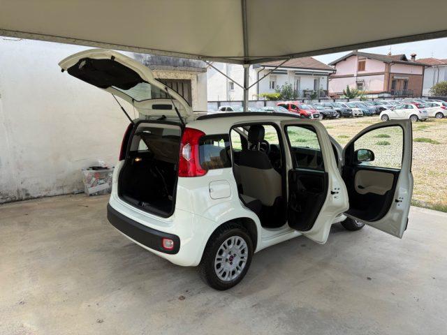 FIAT Panda 1.2 Easy EURO 5 BENZ OK NEOPATENTATI PRONTA CONS.