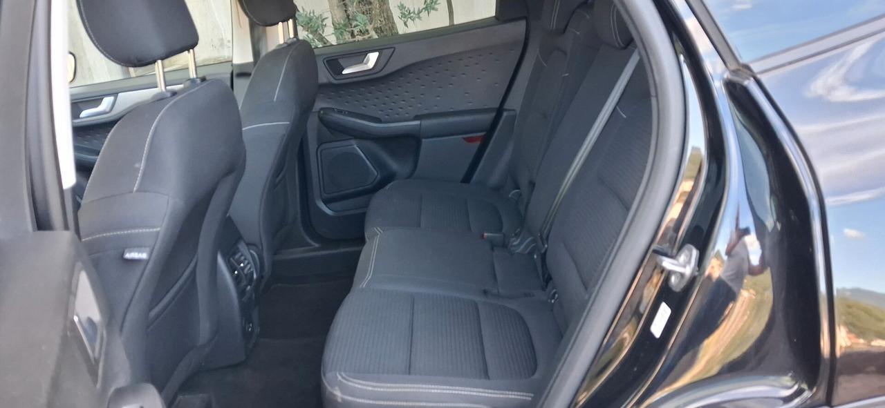Ford Kuga 1.5 EcoBlue 120 CV 2WD Titanium
