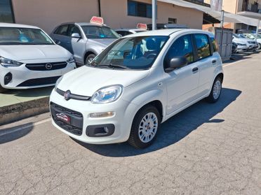 Fiat Panda 1.2 Benzina - 2017