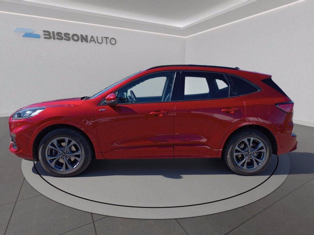 FORD Kuga 2.0 ecoblue st-line awd 120cv auto del 2023