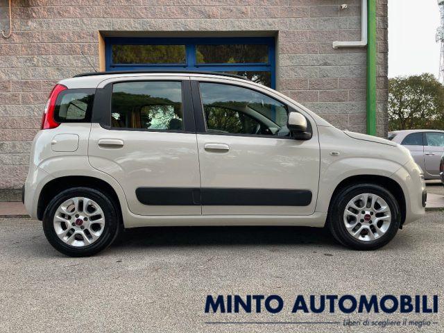 FIAT Panda 1.2 69CV LOUNGE UNIPROPRIETARIO ADATTA NEOPATENT.