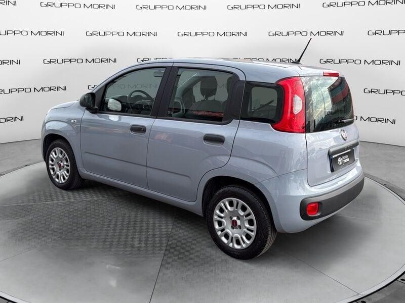 FIAT Panda Panda 1.2 Easy