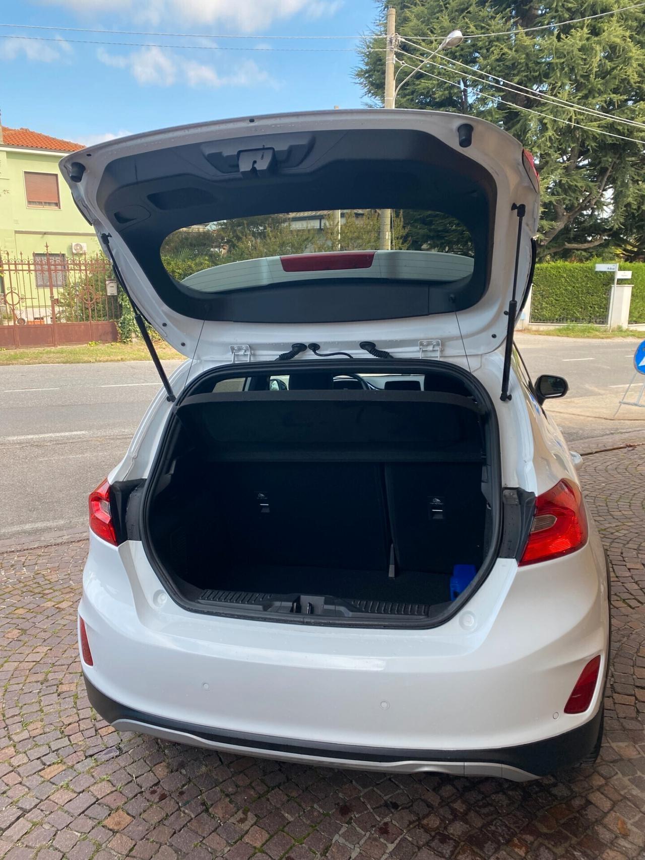 Ford Fiesta 1.0 Ecoboost Hybrid 125 CV 5 porte Active