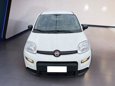 FIAT Panda My23 1.0 70cv Hybrid Panda