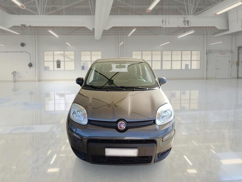 FIAT PANDA 1.0 FIREFLY 70 CV SES HYBRID 5 PORTE BERLINA