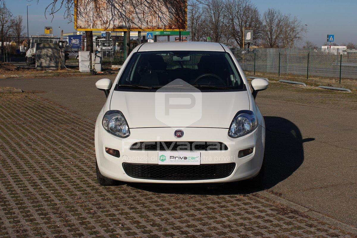 FIAT Punto 1.2 8V 5 porte Street