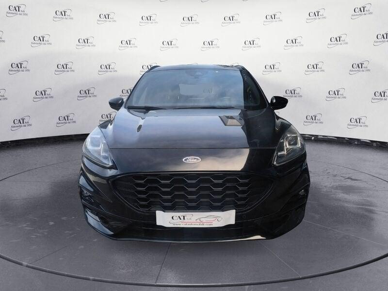 Ford Kuga Kuga 2.0 ecoblue ST-Line X awd 190cv auto