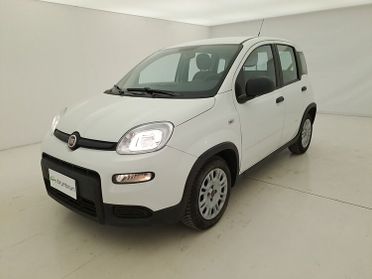 Fiat Panda Hybrid BR063314 1.0 Mild Hybrid 70CV