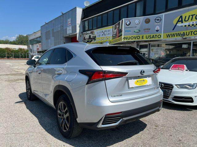 LEXUS NX 300 Hybrid Business