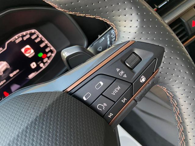 CUPRA Formentor 2.0 TDI 150 CV 4Drive DSG