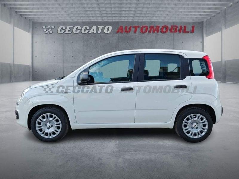 FIAT Panda Panda 1.0 70cv Hybrid Icon