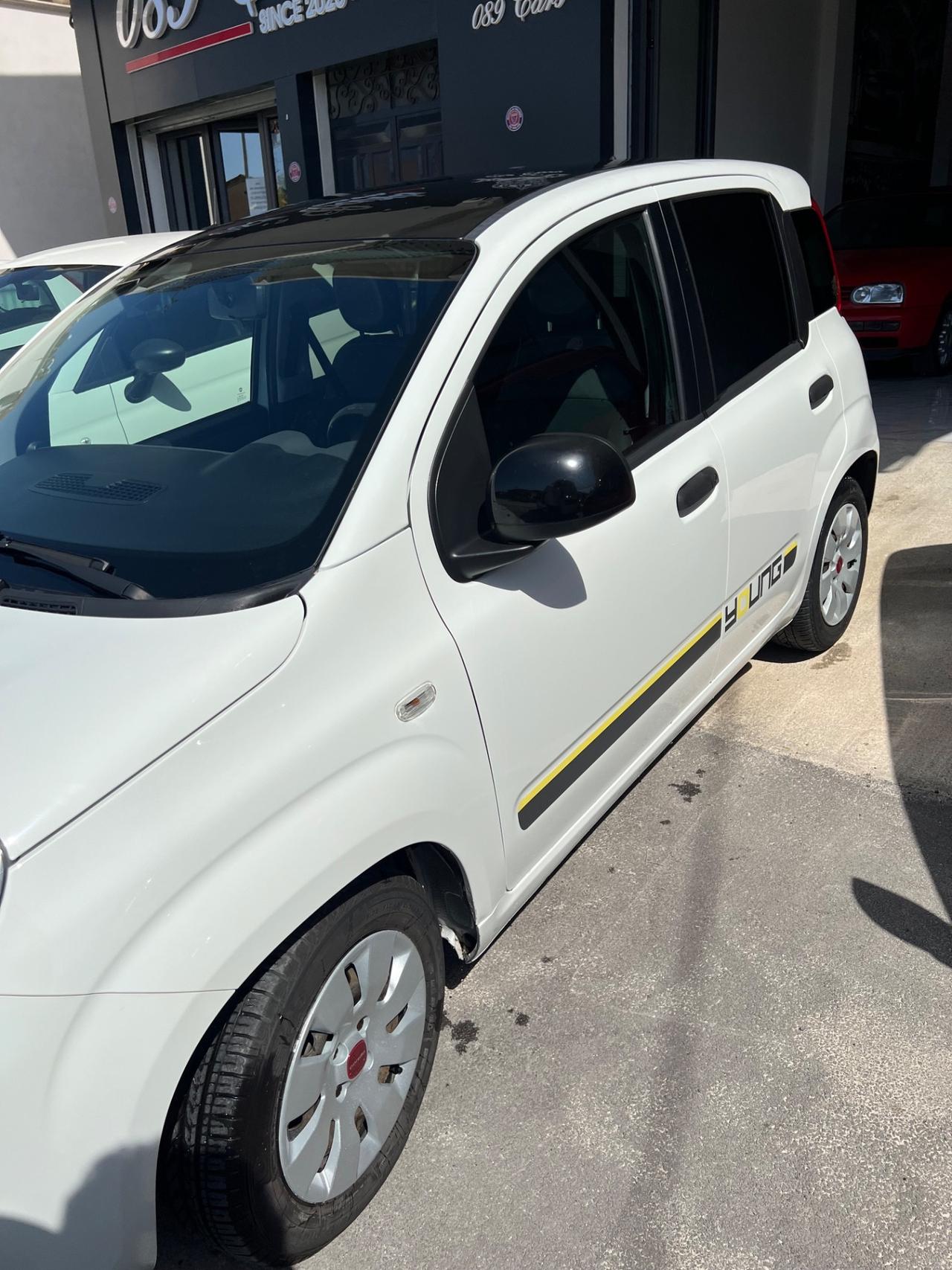 Fiat Panda 1.2 Young (Venduta)