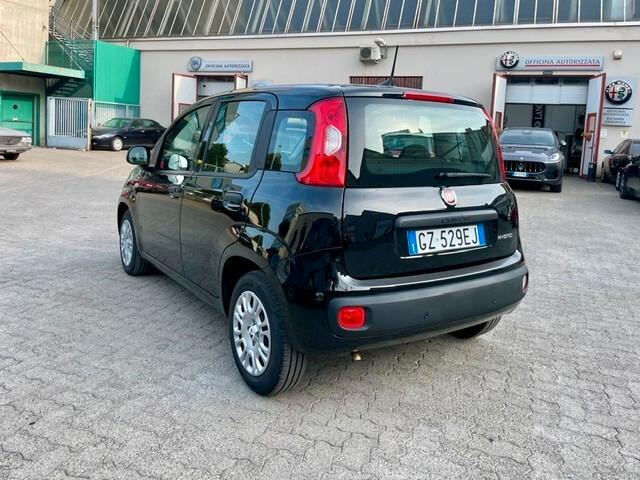 Fiat Panda 1.0 FireFly S&S Hybrid Pandina Tech Km 13.000 PREZZO VERO!!!!