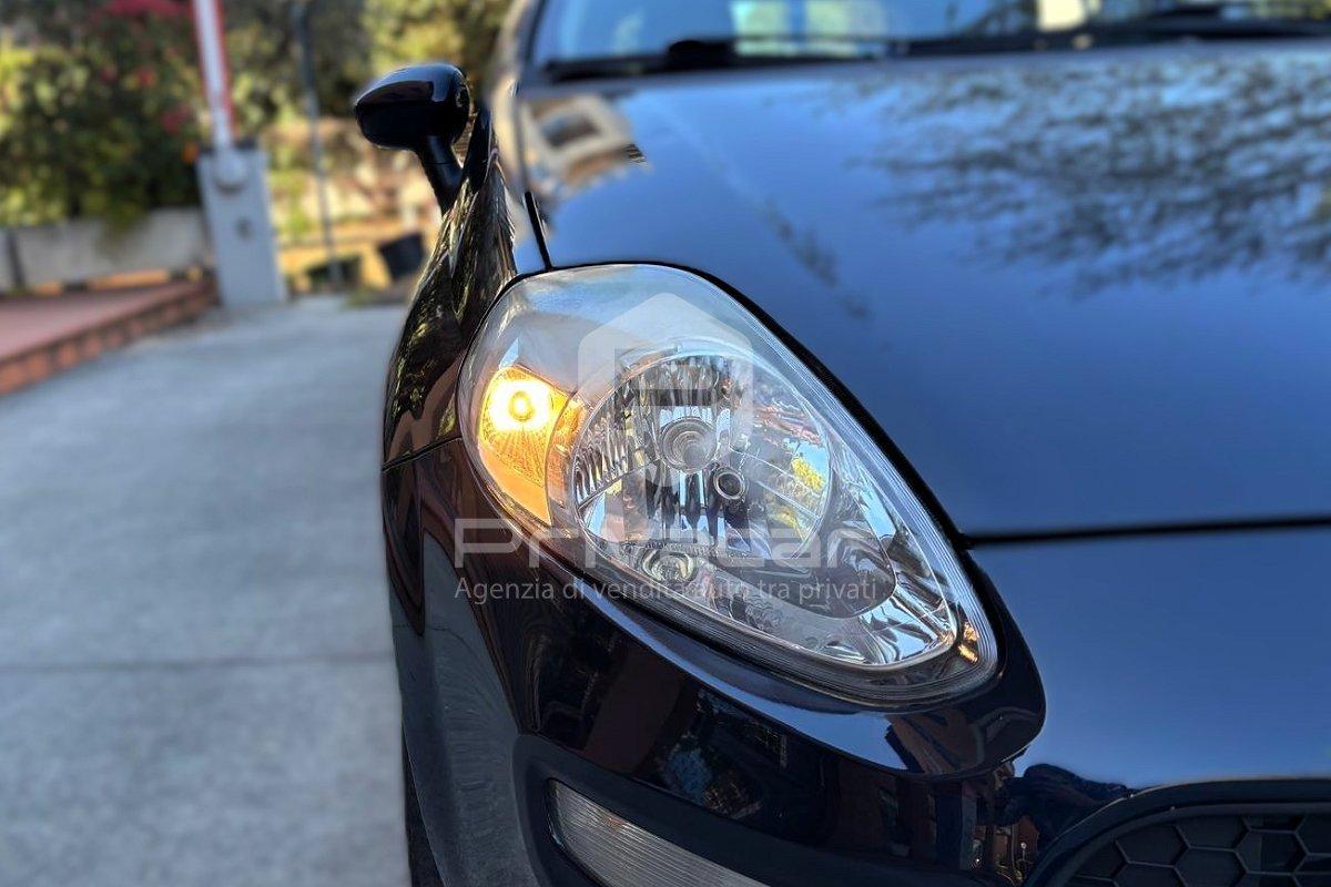 FIAT Punto 1.2 8V 5 porte Street