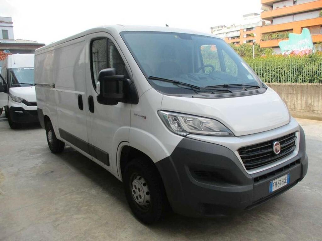 fiat ducato professional