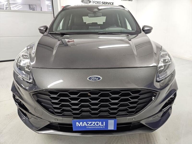 Ford Kuga 1.5 ecoblue ST-Line X 2wd 120cv