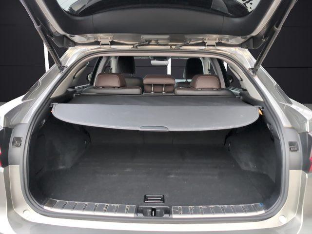 LEXUS RX 450h RX Hybrid Luxury