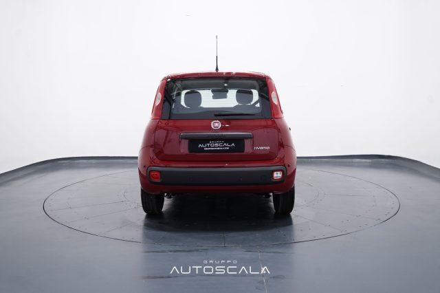 FIAT New Panda My25 1.0 FireFly S&S Hybrid