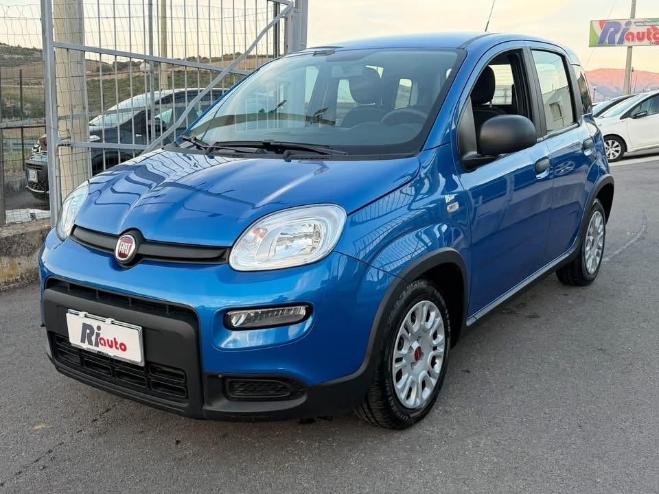 Fiat Panda 1.0 FireFly S&S Hybrid con 13.584 km