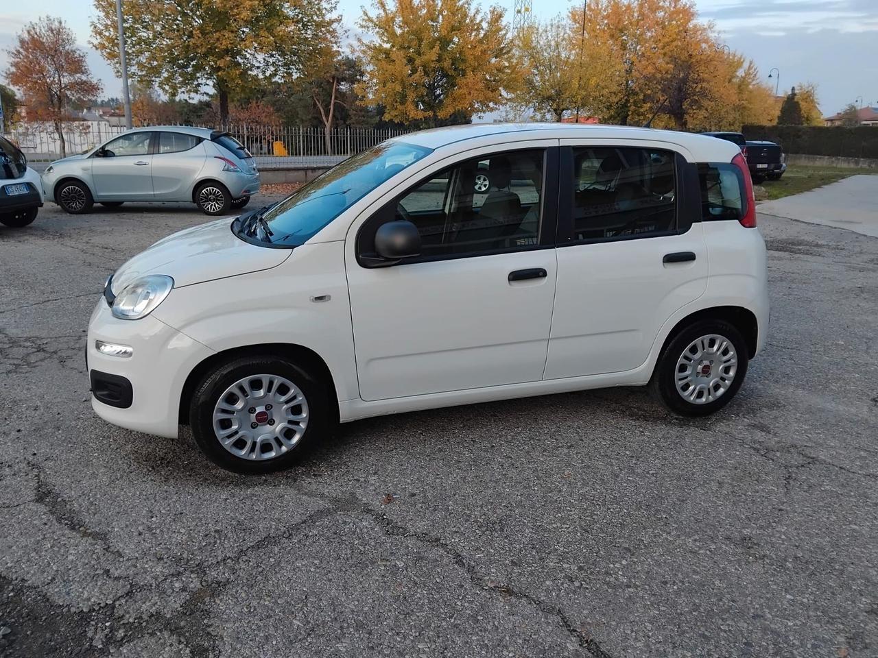 Fiat Panda 1.0 FireFly S&S Hybrid City Life