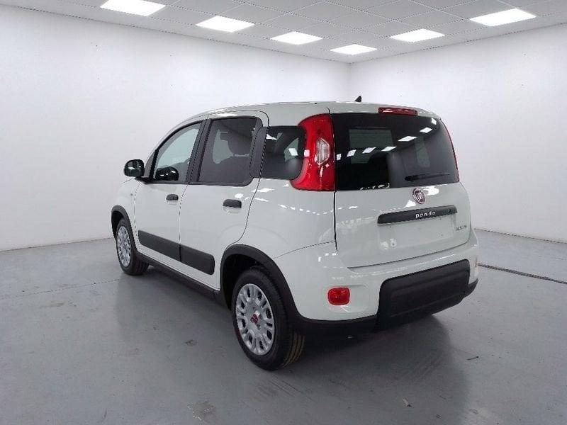 FIAT Panda van 1.0 hybrid Street 70cv 4p.ti serie 4 E6d