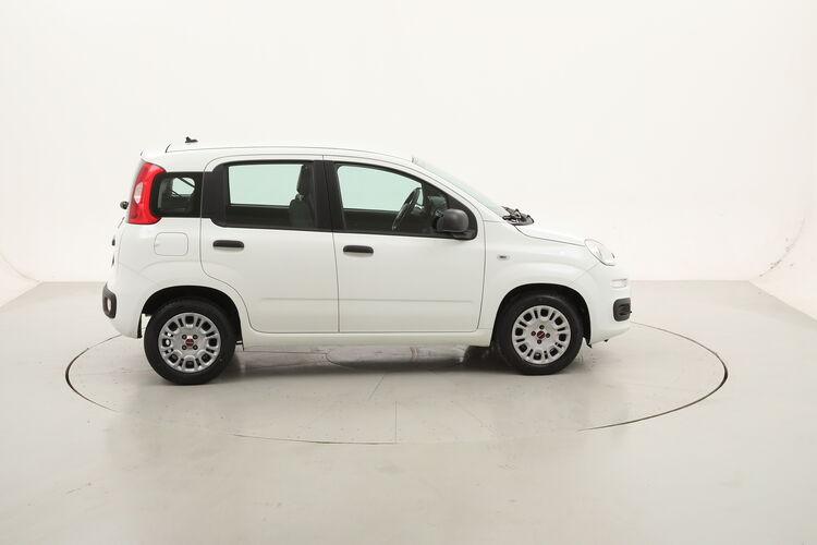 Fiat Panda Easy BR250926 1.2 Benzina 69CV