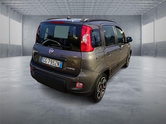 FIAT Panda 3ª serie 1.0 FireFly S&S Hybrid