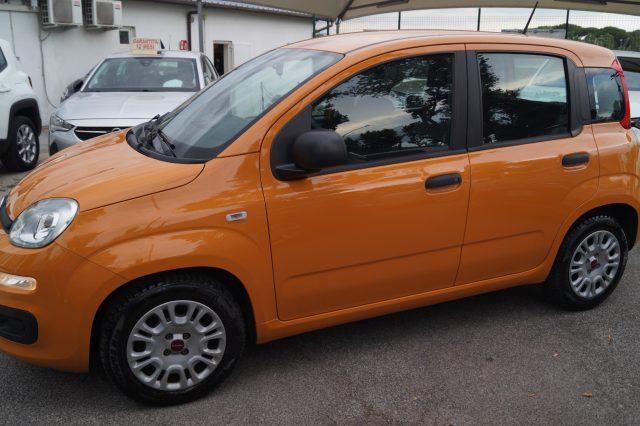 FIAT Panda 1.0 FireFly S&S Hybrid Easy