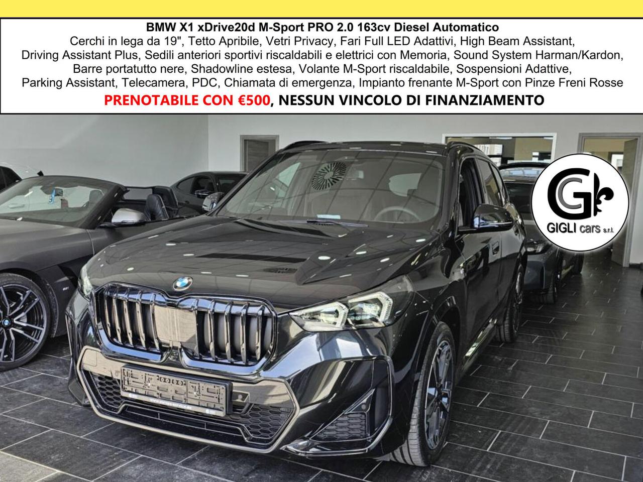 BMW X1 20d xDrive MSport PRO Tetto Navi C.18" Cam M-Sport