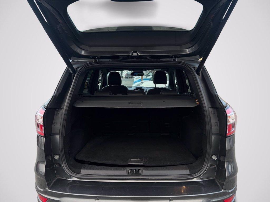 FORD Kuga 2.0 TDCI 120 CV S&S 2WD Powershift ST-Line del 2019