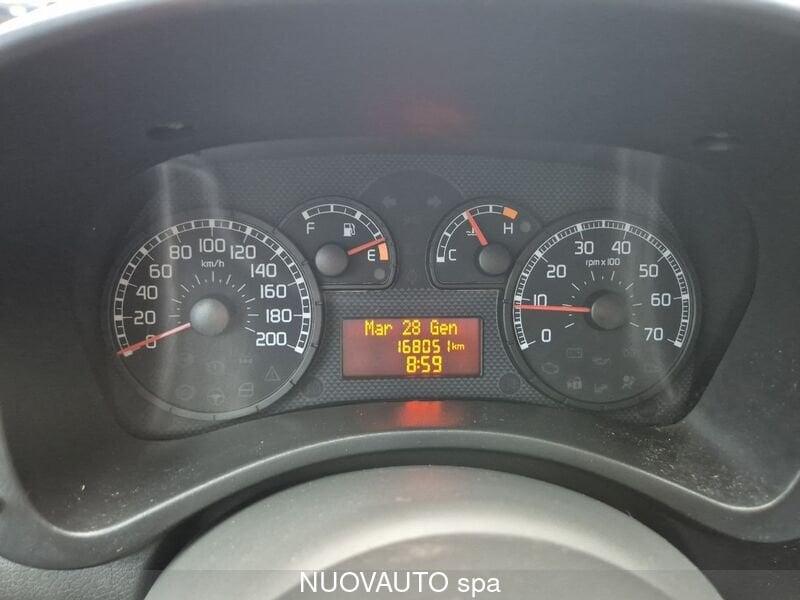 FIAT Panda Panda 1.2 Dynamic GPL