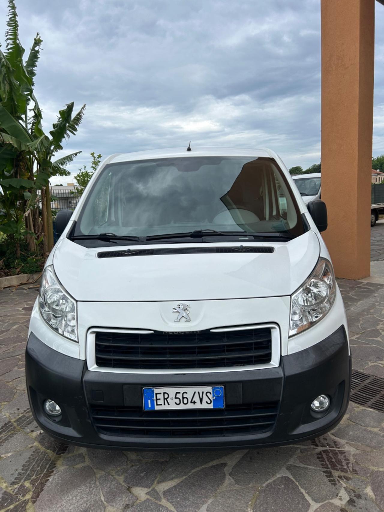 Peugeot Expert 2.0 HDi 163CV FAP PC-TN 12Q Furgone