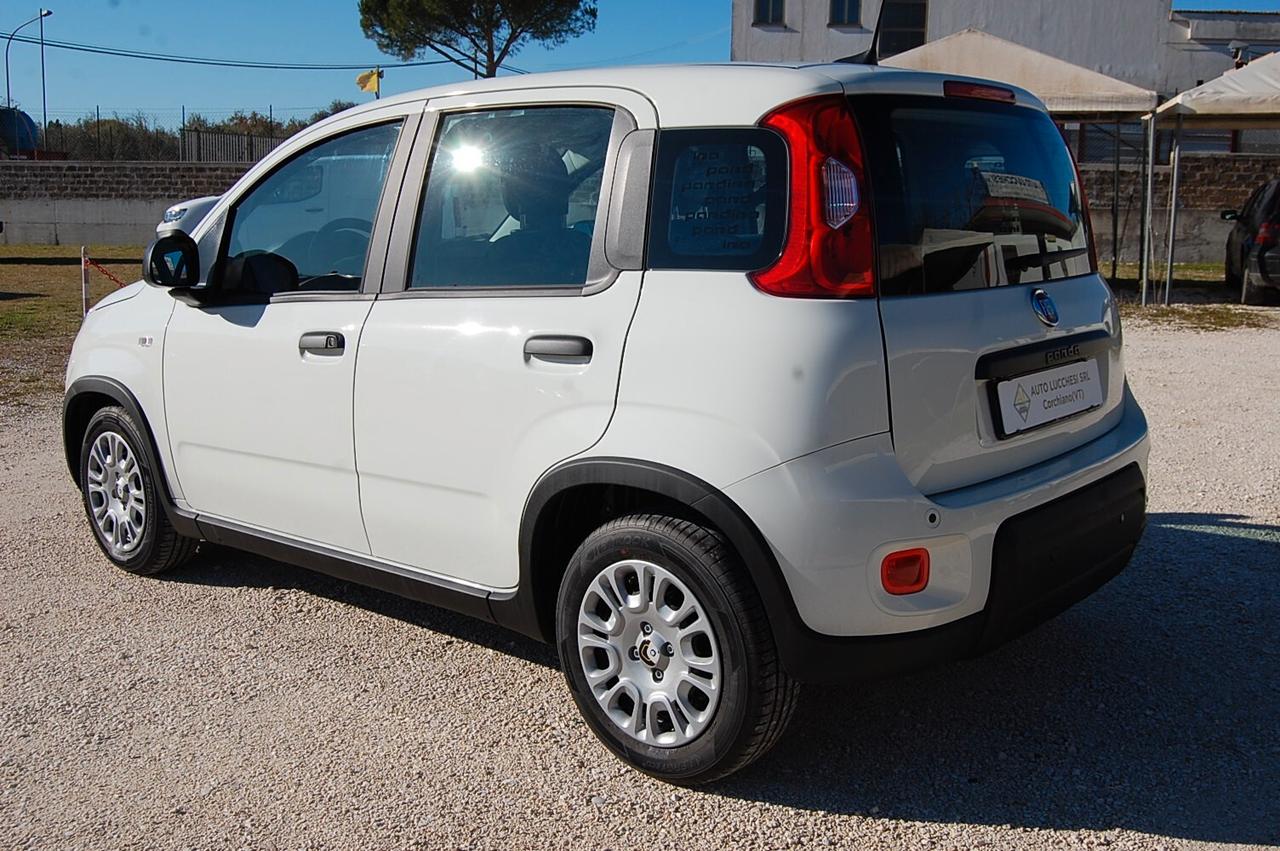 Fiat Panda 1.0 FireFly S&S Hybrid