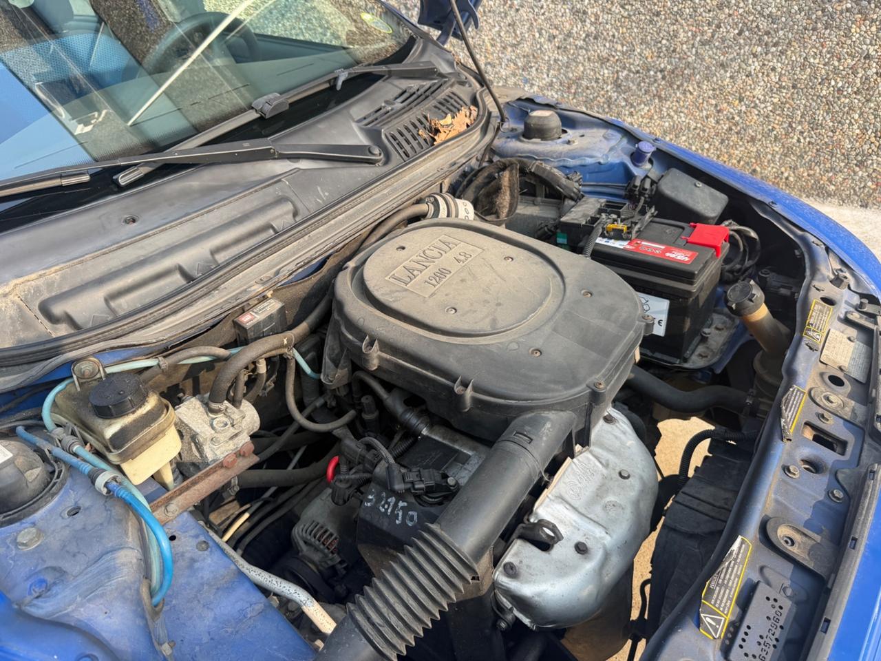 LANCIA Y 1.2 BENZINA-GPL CONSUMI BASSI
