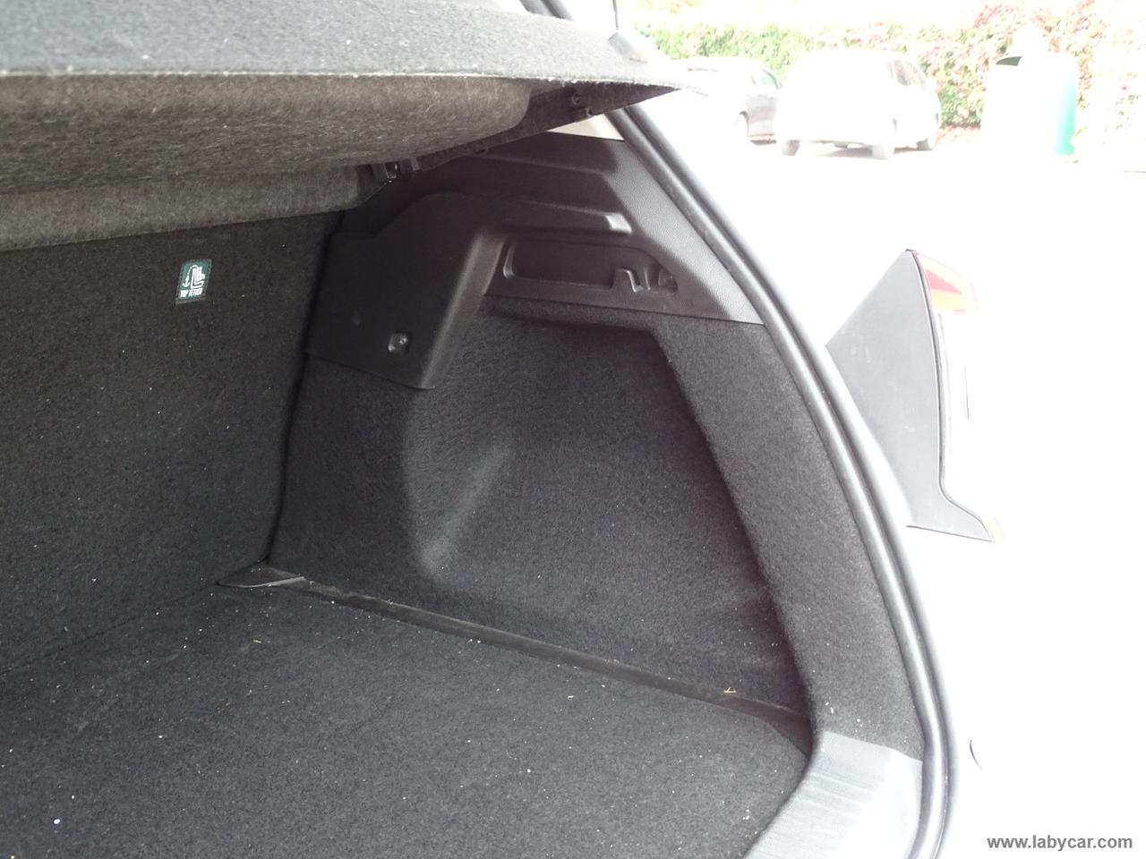 RENAULT Captur Blue dCi 8V 95 CV Business