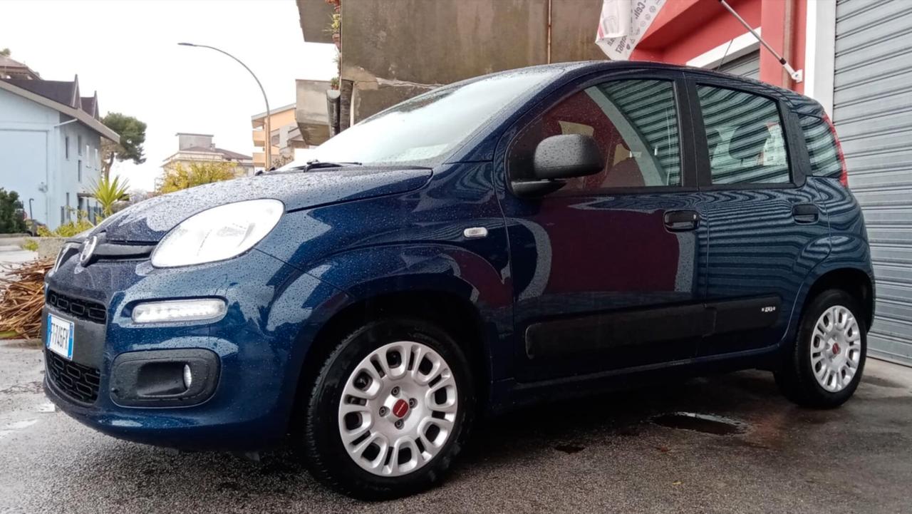 Fiat Panda 1.2 Easy