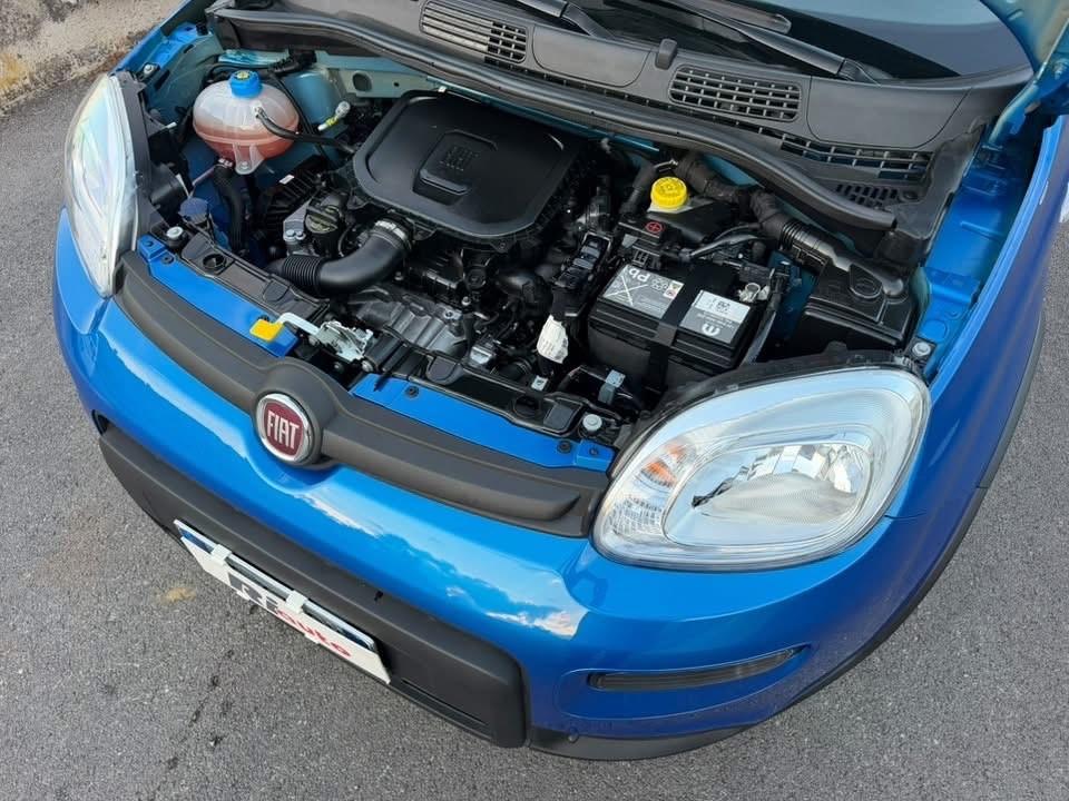 Fiat Panda 1.0 FireFly S&S Hybrid con 13.584 km