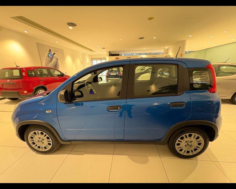 FIAT Panda NUOVA 1.0 70cv Hybrid Panda